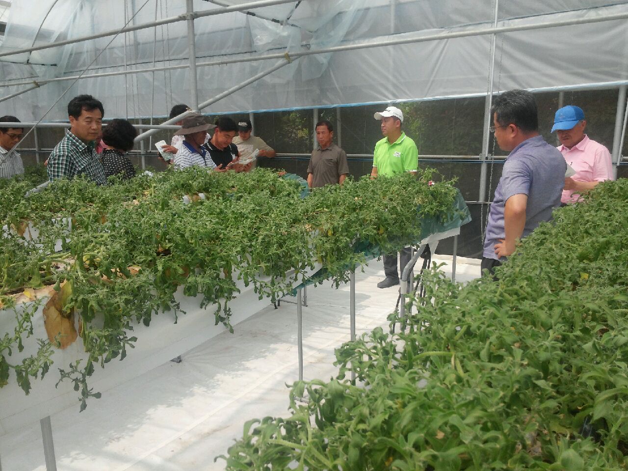 농촌지도사업 중간 평가회